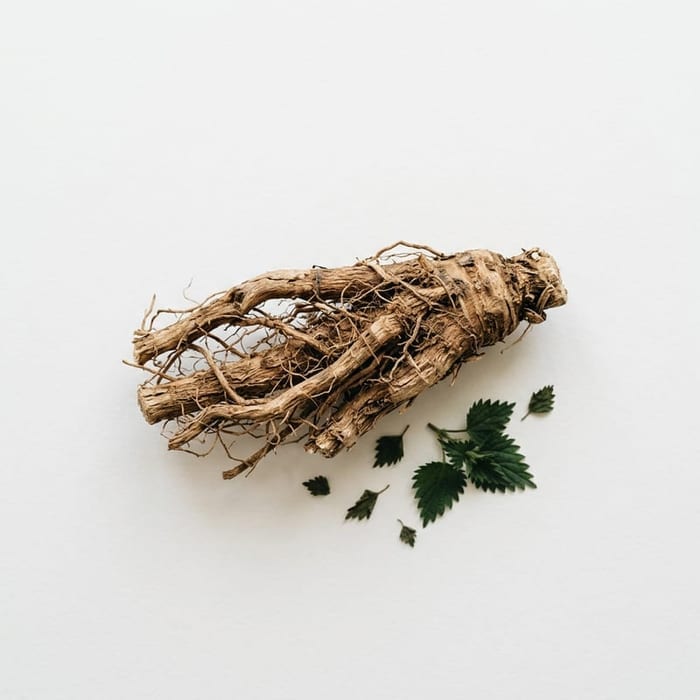 Nettle Root — SHBG binding, prostate
